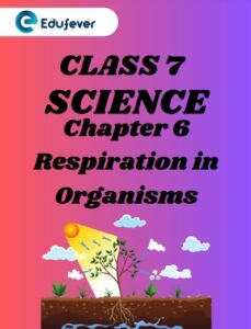 Class Science Chapter Respiration In Organisms