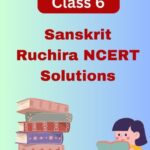 CBSE Class 6 Sanskrit Ruchira NCERT Solutions