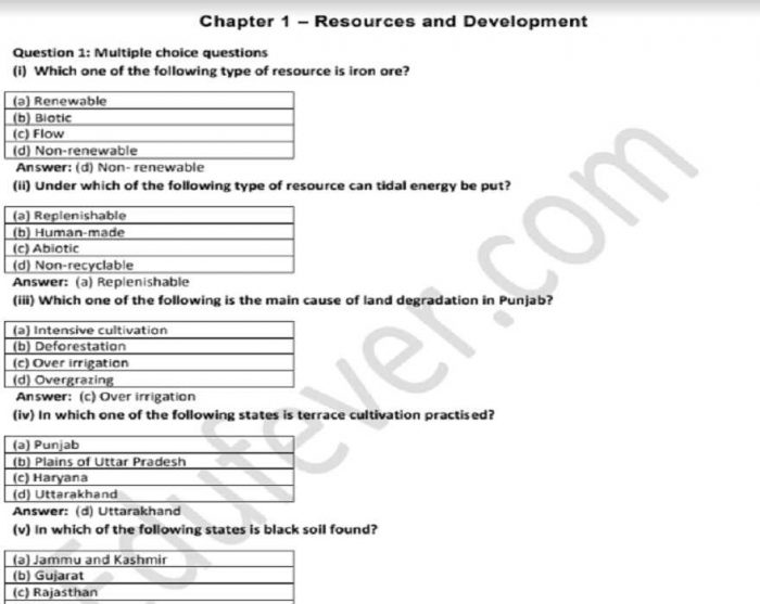 Class 10 Geography NCERT Solutions