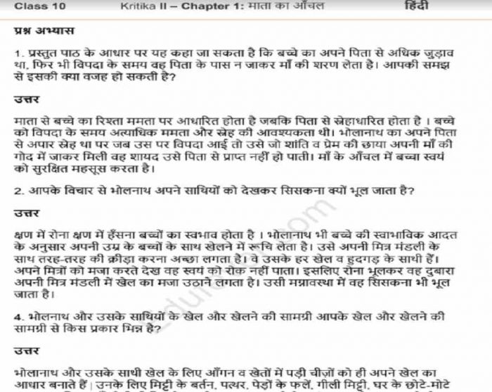 Class 10 Hindi Kritika NCERT Solution