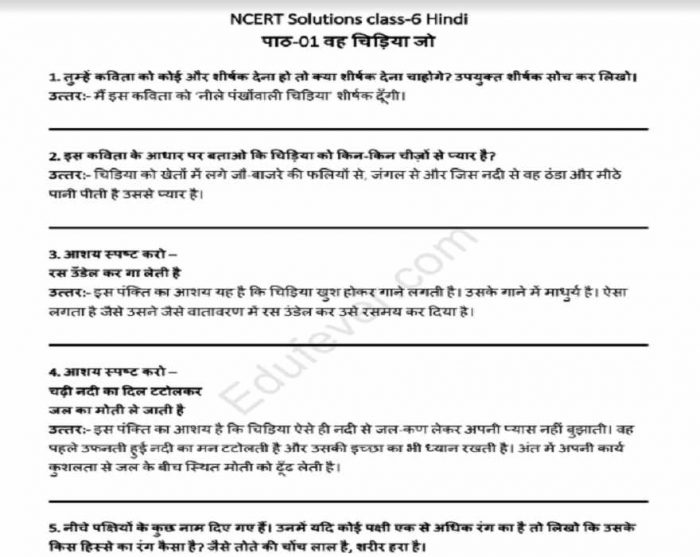 Class 6 Hindi Vasant NCERT Solutions