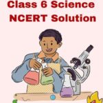 Class 6 Science NCERT Solution