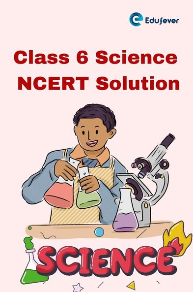 Class 6 Science NCERT Solution