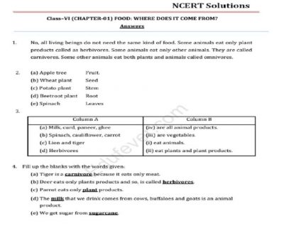 CBSE Class 6 Science NCERT Solutions In PDF