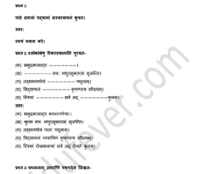 Class 8 Sanskrit NCERT Solution (Example)