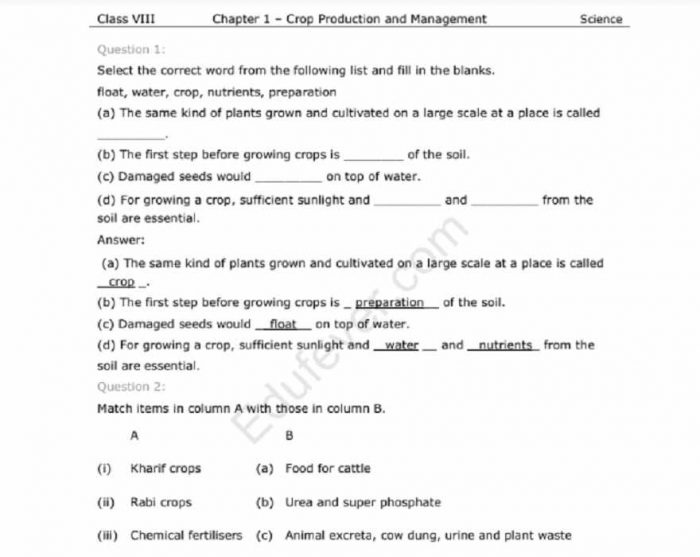 Class 8 Science NCERT Solutions (Example)