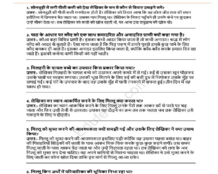 Class 9 Hindi (Sanchayan-I) NCERT Solutions (Example)