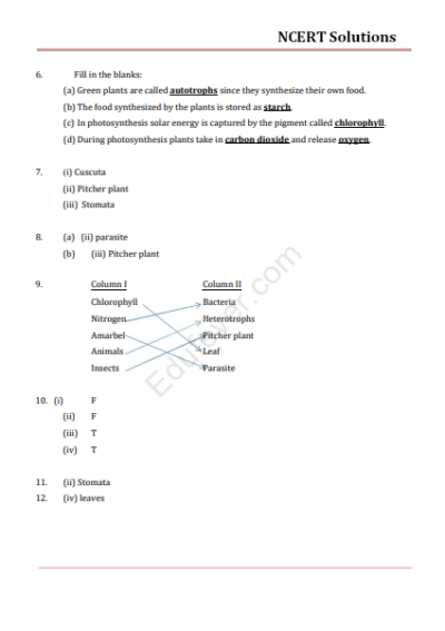 CBSE Class 7 Science NCERT Solution in PDF