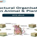 Structural Organisation in Animal Plant MCQ E Book