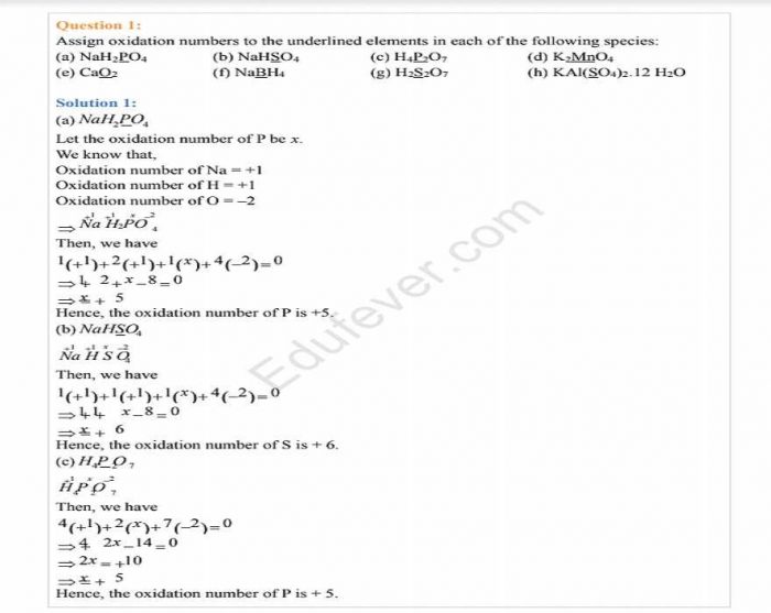 Class 11 Chemistry Part-II NCERT Solution (Example)