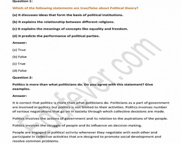 Class 11 Political Theory NCERT SOlution (Example)