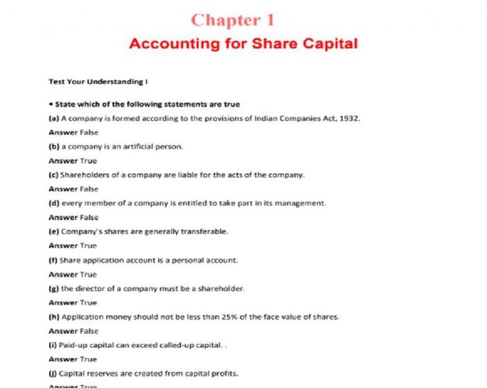 Class 12 Accounting Part 2 NCERT Solution