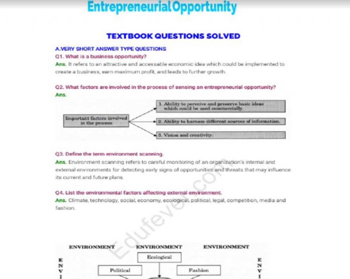 Class 12 Entrepreneurship NCERT Solution