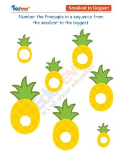 Class UKG - Smallest and Biggest Worksheets in PDF For Kindergarten