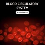 Blood Circulatory System Hand Written Notes