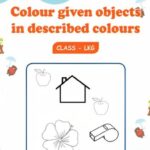 Colour Given Objects in Described Colours