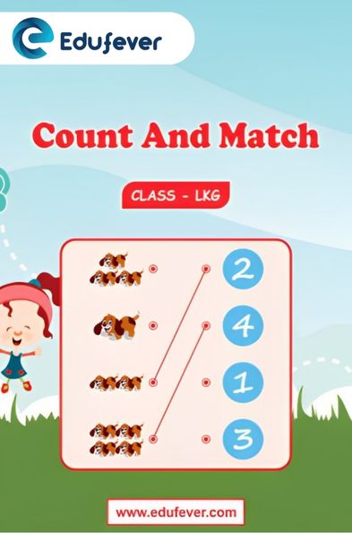 Count And Match