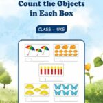 Count Objects in Each Set