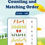 Counting and Matching Order