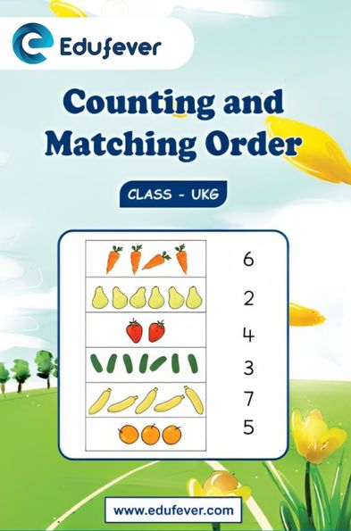 Counting and Matching Order