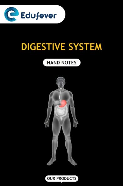 Digestive System Hand Written Notes