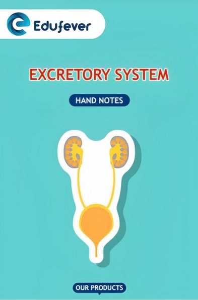 Excretory System Hand Written Notes