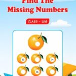 Find The Missing Numbers