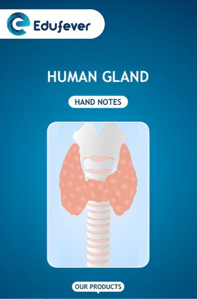 Human Gland Hand Written Notes