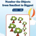 Number the Objects from Smallest to Biggest