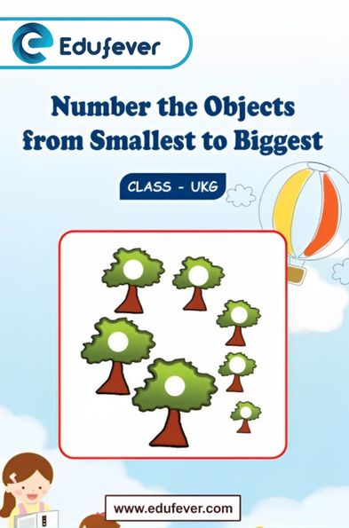 Number the Objects from Smallest to Biggest