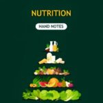 Nutrition Hand Written Notes