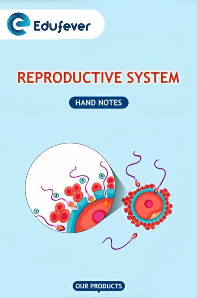 Reproductive System Hand Written Notes