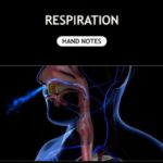 Respiration Hand Written Notes