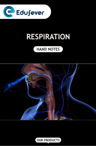 Respiration Hand Written Notes