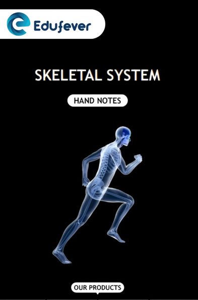 Skeletal System Hand Written Notes