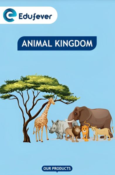 Animal Kingdom Revision Notes