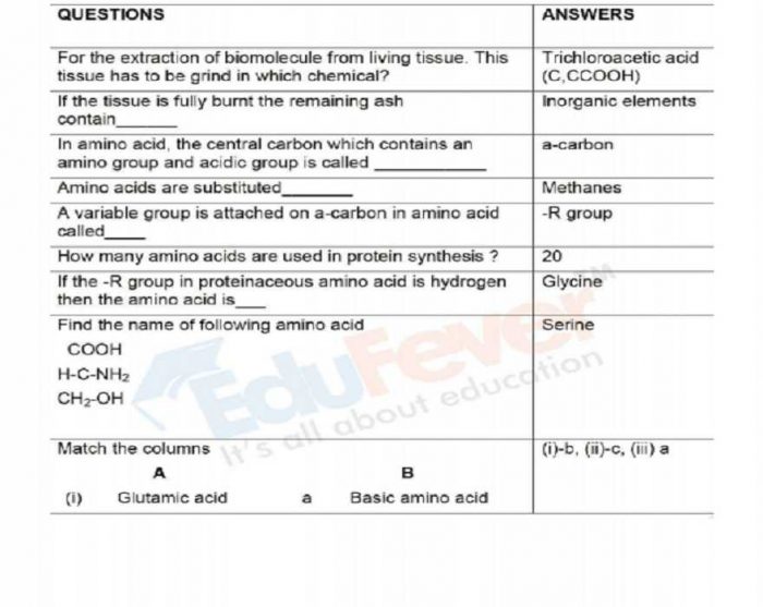 Biomolecules Revision Notes (Example)
