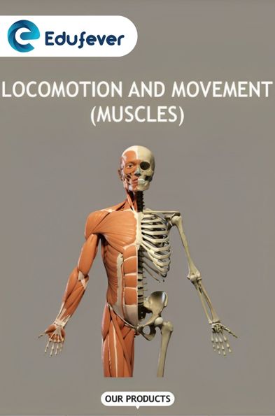 Locomotion and Movement (Skeletal System)