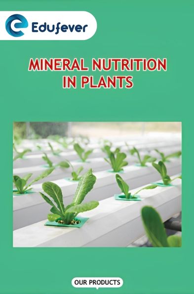 Mineral Nutrition in Plants Revision Notes