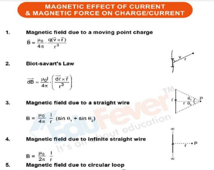Magnetic Effect of Current Revision Notes Example