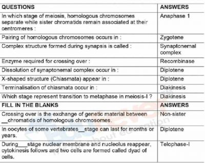 Meiosis Revision Notes For NEET Entrance Exam