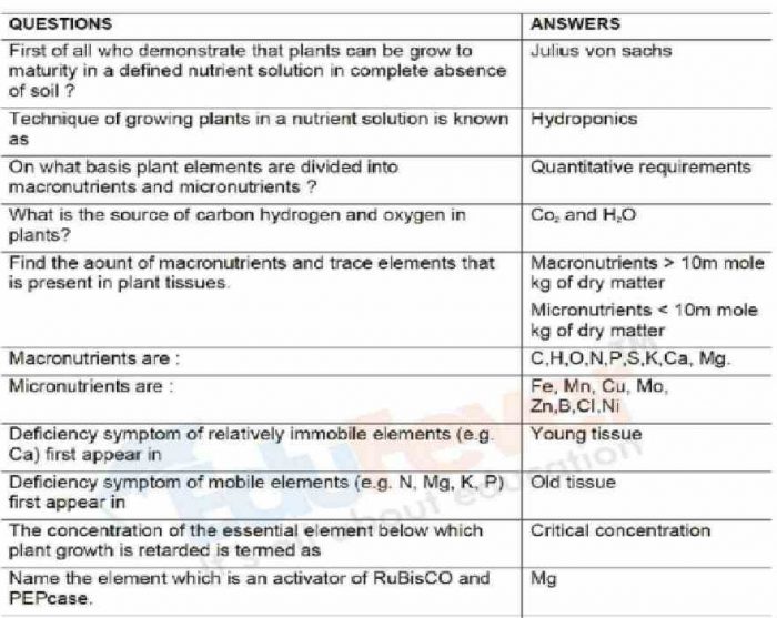 Mineral Nutrition in Plants Revision Notes Example