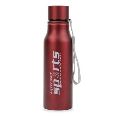 NFI essentials Steel Sports Bottle 750ml for Student School