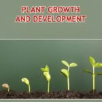 Plant Growth & Development Revision Notes