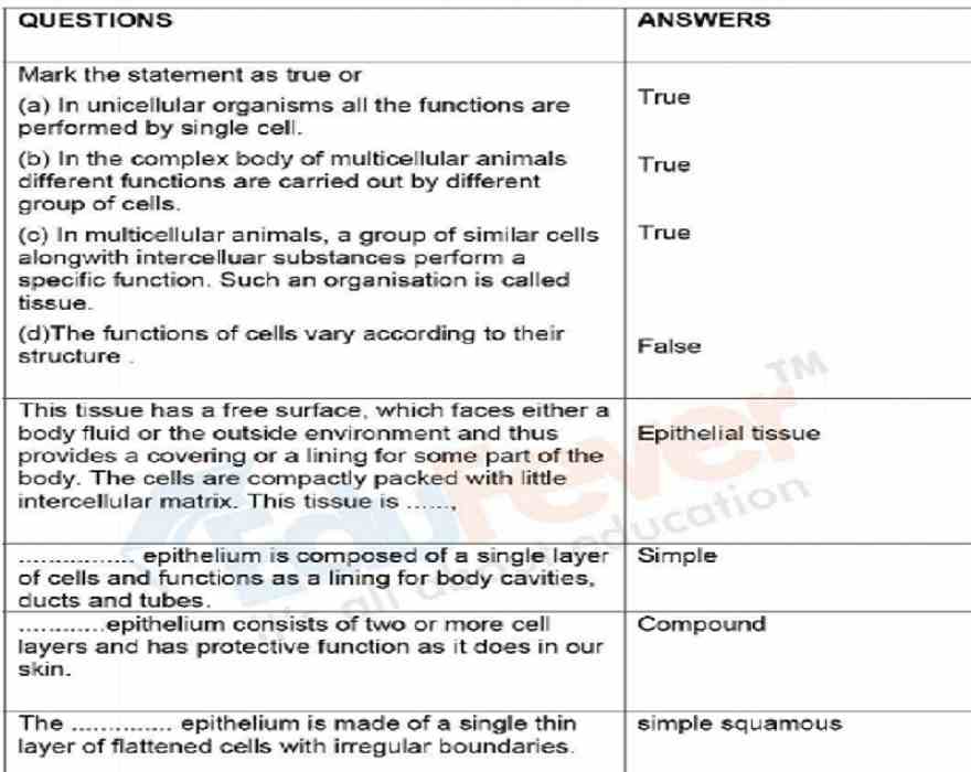 Structural Organisation in Animals Revision Notes for NEET 2021-22 Exam