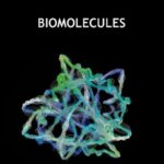 Biomolecules Revision Notes