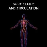Body Fluids and Circulation Revision Notes