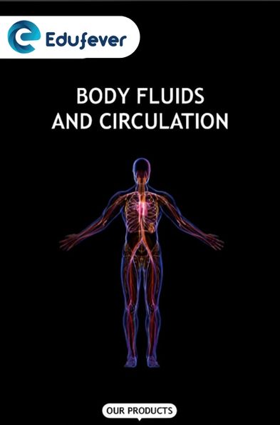 Body Fluids and Circulation Revision Notes