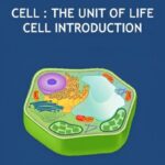 Cell- The Unit of Life Cell Introduction Revision Notes