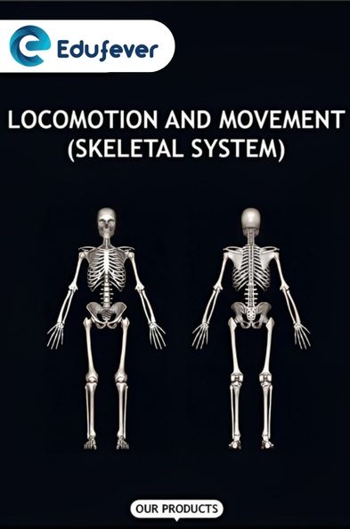 Locomotion and Movement (Muscles)